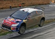 Sebastien Loeb
